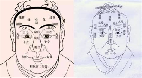 面相分析圖|面相圖解